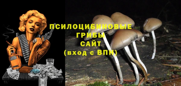 mdpv Майский