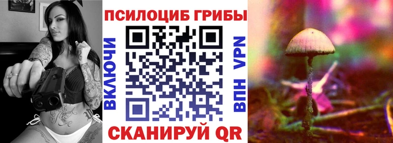 Купить  Лахденпохья  Псилоцибиновые грибы мухоморы 